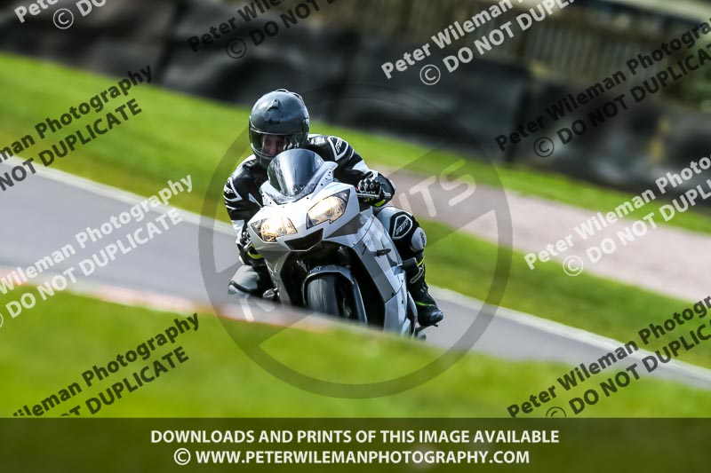 Oulton Park 21st March 2020;PJ Motorsport Photography 2020;anglesey;brands hatch;cadwell park;croft;donington park;enduro digital images;event digital images;eventdigitalimages;mallory;no limits;oulton park;peter wileman photography;racing digital images;silverstone;snetterton;trackday digital images;trackday photos;vmcc banbury run;welsh 2 day enduro